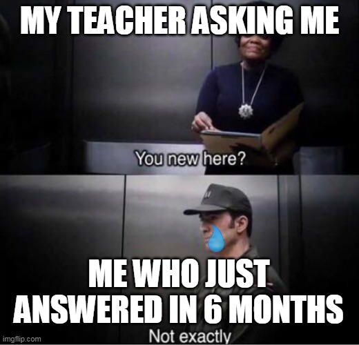 I DONT EVEN KNOW WHO YOU ARE -THANOS | MY TEACHER ASKING ME; ME WHO JUST ANSWERED IN 6 MONTHS | image tagged in you new here | made w/ Imgflip meme maker