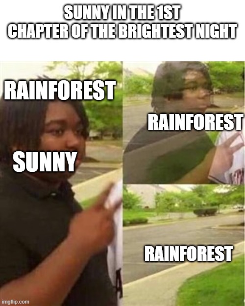 Dissappearing black guy | SUNNY IN THE 1ST CHAPTER OF THE BRIGHTEST NIGHT; RAINFOREST; RAINFOREST; SUNNY; RAINFOREST | image tagged in dissappearing black guy | made w/ Imgflip meme maker