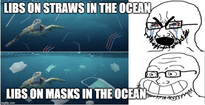 masks | LIBS ON STRAWS IN THE OCEAN; LIBS ON MASKS IN THE OCEAN | image tagged in masks | made w/ Imgflip meme maker