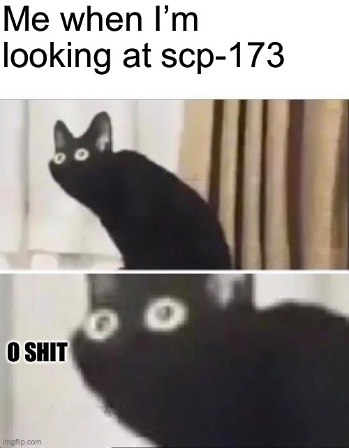 Yoooooo scp-173 |  Me when I’m looking at scp-173; O SHIT | image tagged in oh no black cat | made w/ Imgflip meme maker