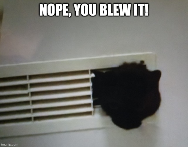 Nope, you blew it! |  NOPE, YOU BLEW IT! | image tagged in nope you blew it | made w/ Imgflip meme maker