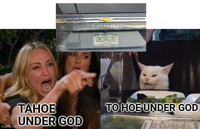 Woman Yelling At Cat Meme | TO HOE UNDER GOD; TAHOE
UNDER GOD | image tagged in memes,woman yelling at cat | made w/ Imgflip meme maker