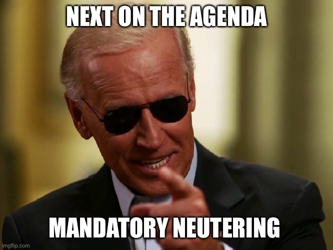 Cool Joe Biden | NEXT ON THE AGENDA MANDATORY NEUTERING | image tagged in cool joe biden | made w/ Imgflip meme maker