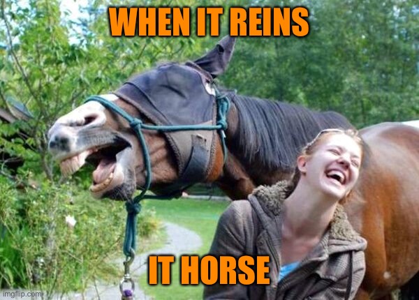 Laughing Horse | WHEN IT REINS IT HORSE | image tagged in laughing horse | made w/ Imgflip meme maker