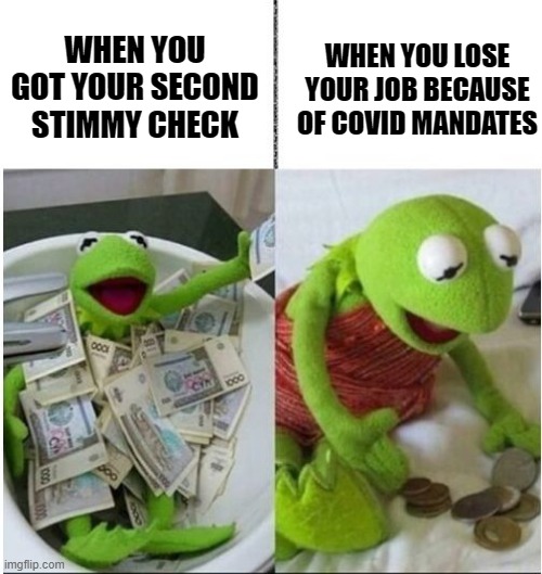 You get what nobody voted for | WHEN YOU LOSE YOUR JOB BECAUSE OF COVID MANDATES; WHEN YOU GOT YOUR SECOND STIMMY CHECK | image tagged in kermit before and after money,covid-19,joe biden,stimulus,politics,voter fraud | made w/ Imgflip meme maker