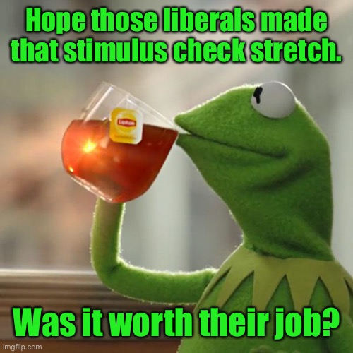But That's None Of My Business Meme | Hope those liberals made that stimulus check stretch. Was it worth their job? | image tagged in memes,but that's none of my business,kermit the frog | made w/ Imgflip meme maker
