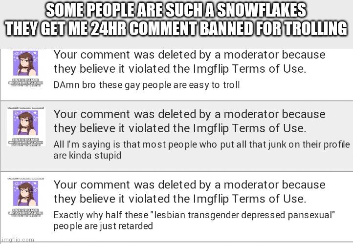 SOME PEOPLE ARE SUCH A SNOWFLAKES THEY GET ME 24HR COMMENT BANNED FOR TROLLING | made w/ Imgflip meme maker