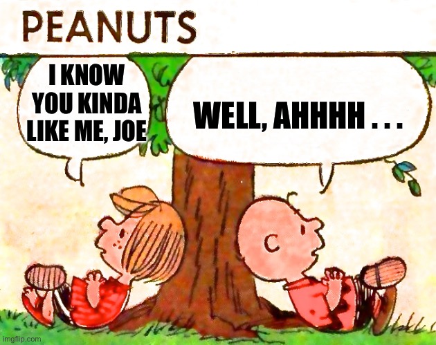 Peanuts Charlie Brown Peppermint Patty | I KNOW YOU KINDA LIKE ME, JOE WELL, AHHHH . . . | image tagged in peanuts charlie brown peppermint patty | made w/ Imgflip meme maker