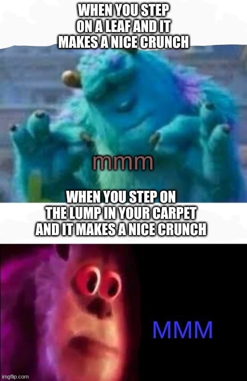 i have returned after 4 months (not that anyone cares) | WHEN YOU STEP ON A LEAF AND IT MAKES A NICE CRUNCH; WHEN YOU STEP ON THE LUMP IN YOUR CARPET AND IT MAKES A NICE CRUNCH | image tagged in sulley mmm | made w/ Imgflip meme maker