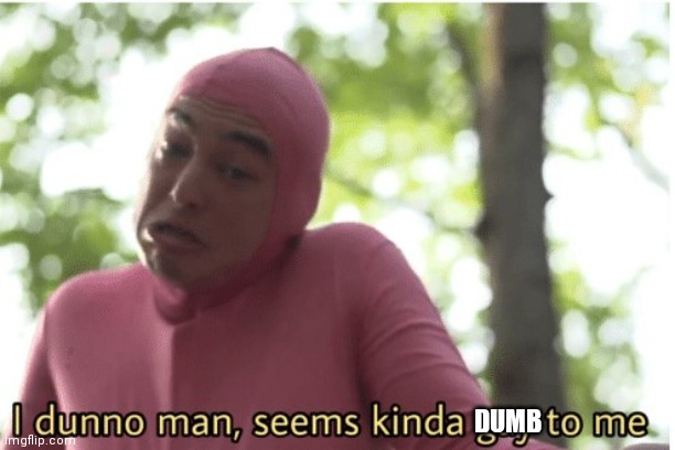 I dunno man seems kinda gay to me | DUMB | image tagged in i dunno man seems kinda gay to me | made w/ Imgflip meme maker
