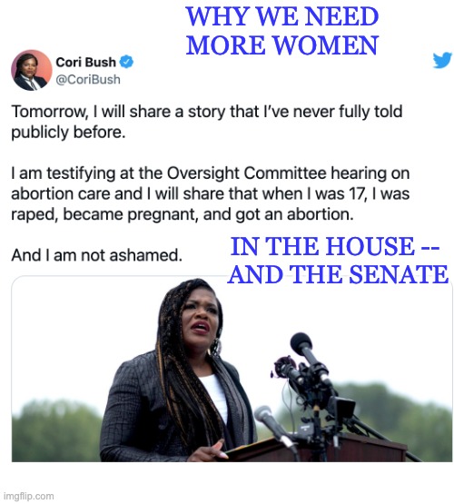 A moment of respect for her courage | WHY WE NEED
MORE WOMEN; IN THE HOUSE -- 
AND THE SENATE | image tagged in congress,democrat,brave,woman,abortion | made w/ Imgflip meme maker
