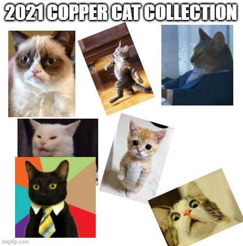 somebody remember to make 2022 version | 2021 COPPER CAT COLLECTION | image tagged in blank white template | made w/ Imgflip meme maker