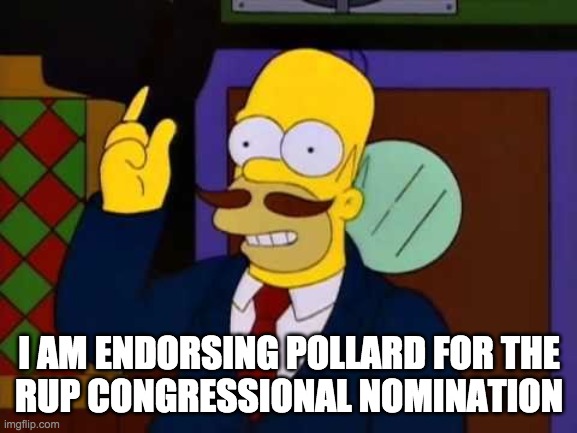 I'm also endorsing Pollard's running-mate F1Fan for HoS. And if I win the nomination my VP will either be Wubbzy or PR1CE. | I AM ENDORSING POLLARD FOR THE
RUP CONGRESSIONAL NOMINATION | image tagged in guy incognito,memes,politics,election,campaign | made w/ Imgflip meme maker