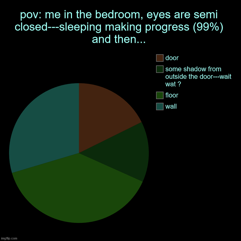 ?: "me"_ME": "?" | pov: me in the bedroom, eyes are semi closed---sleeping making progress (99%) and then... | wall, floor, some shadow from outside the door-- | image tagged in charts,pie charts,i don't get them sleep paralysis and i live alone | made w/ Imgflip chart maker