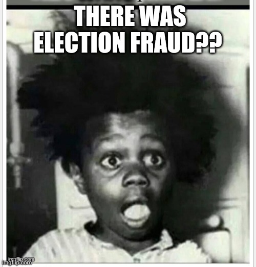 Buckwheat Shocked | THERE WAS ELECTION FRAUD?? | image tagged in rigged,election 2020 | made w/ Imgflip meme maker