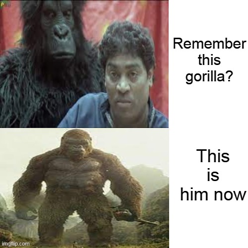 Gorilla has grown | Remember this gorilla? This is him now | image tagged in memes | made w/ Imgflip meme maker