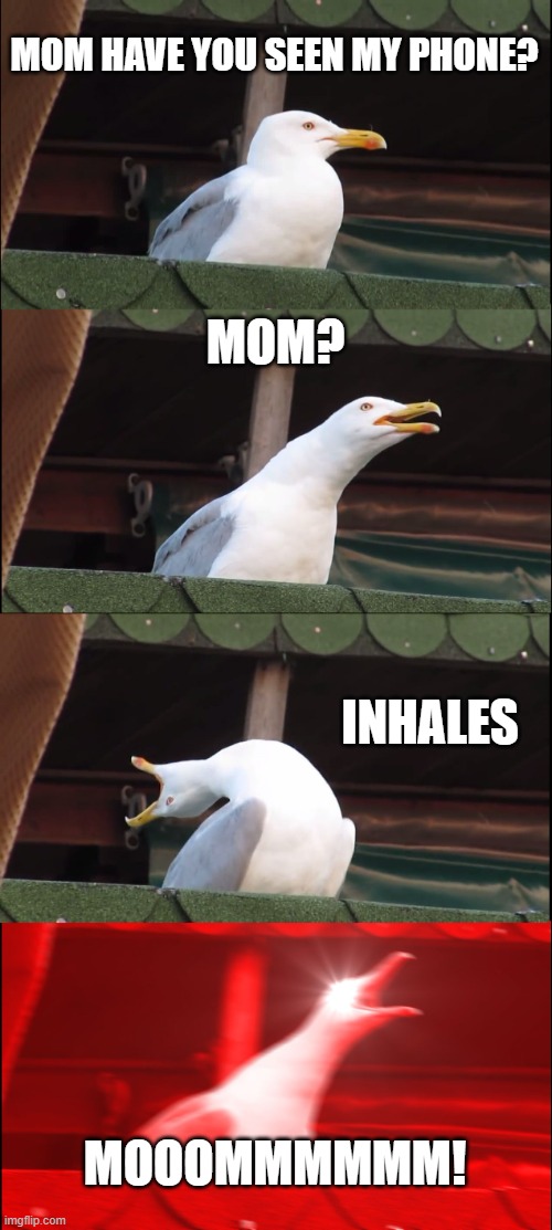Inhaling Seagull Meme | MOM HAVE YOU SEEN MY PHONE? MOM? INHALES; MOOOMMMMMM! | image tagged in memes,inhaling seagull | made w/ Imgflip meme maker