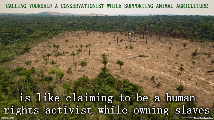 Hypocrisy | CALLING YOURSELF A CONSERVATIONIST WHILE SUPPORTING ANIMAL AGRICULTURE; is like claiming to be a human
rights activist while owning slaves; Eward Doubell/minkpen | image tagged in vegan,climate change,environment,meat,dairy,fish | made w/ Imgflip meme maker