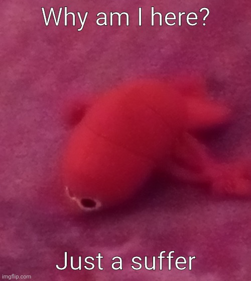 Just a suffer | Why am I here? Just a suffer | image tagged in just a suffer,why are you reading this,why am i doing this | made w/ Imgflip meme maker