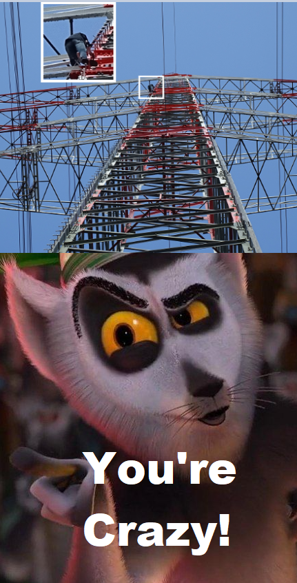 Madagascar Meme Blank Meme Template