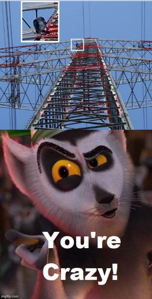 Madagascar Meme | image tagged in madagascar meme | made w/ Imgflip meme maker