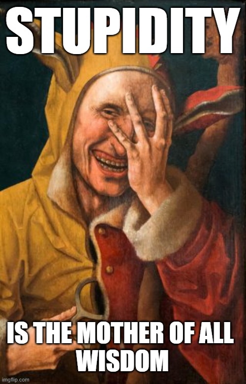 Laughing Fool / Clown | STUPIDITY; IS THE MOTHER OF ALL 
WISDOM | image tagged in clown,art,philosophy | made w/ Imgflip meme maker