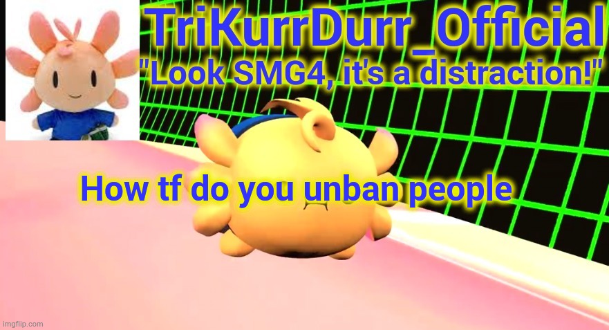 Tricky's Axol temp | How tf do you unban people | image tagged in trikurrdurr_official's axol temp | made w/ Imgflip meme maker