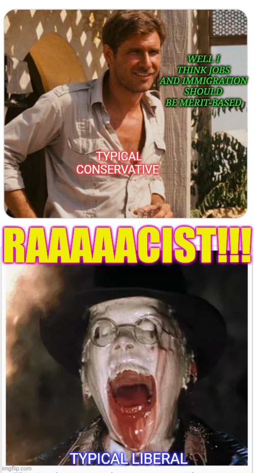 Indie not woke | RAAAAACIST!!! WELL I THINK JOBS AND IMMIGRATION SHOULD BE MERIT-BASED; TYPICAL CONSERVATIVE; TYPICAL LIBERAL | image tagged in liberal vs conservative,indiana jones punching nazis,angry liberal,libtard | made w/ Imgflip meme maker