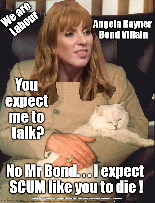 Angela Rayner - Bond Villain | We are 
Labour; Angela Rayner 
Bond Villain; You 
expect 
me to 
talk? No Mr Bond. . . I expect 
SCUM like you to die ! #Starmerout #GetStarmerOut #Labour #AngelaRayner #wearecorbyn #KeirStarmer #DianeAbbott #McDonnell #cultofcorbyn #labourisdead #Momentum #scum #labourracism #socialistsunday #nevervotelabour #socialistanyday #Antisemitism #Bond | image tagged in starmer new leadership,labourisdead,rayner scum,starmer james bond,cultofcorbyn,cervix | made w/ Imgflip meme maker