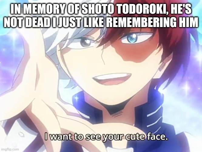 Todoroki I want to see your cute face | IN MEMORY OF SHOTO TODOROKI, HE'S NOT DEAD I JUST LIKE REMEMBERING HIM | image tagged in todoroki i want to see your cute face | made w/ Imgflip meme maker