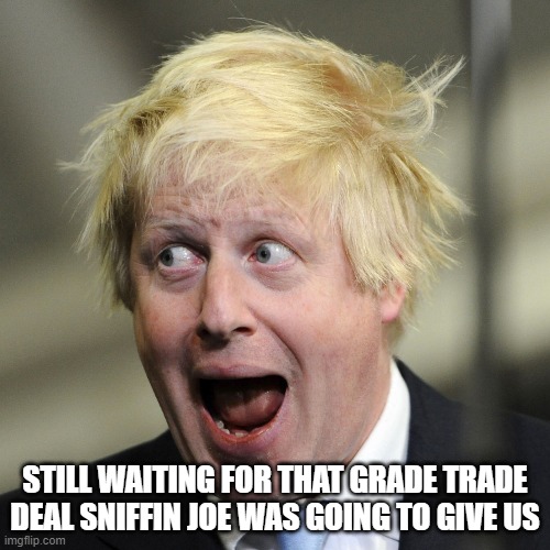 Boris Johnson | STILL WAITING FOR THAT GRADE TRADE DEAL SNIFFIN JOE WAS GOING TO GIVE US | image tagged in boris johnson | made w/ Imgflip meme maker
