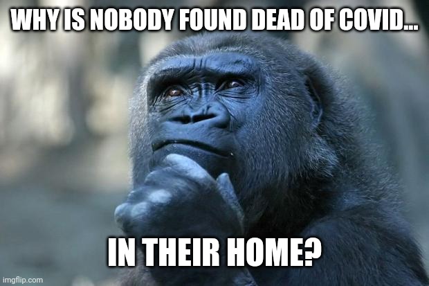 It always at the hospital. | WHY IS NOBODY FOUND DEAD OF COVID... IN THEIR HOME? | image tagged in memes | made w/ Imgflip meme maker