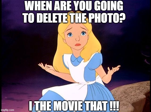 Alice in Wonderland | WHEN ARE YOU GOING TO DELETE THE PHOTO? I THE MOVIE THAT !!! | image tagged in alice in wonderland | made w/ Imgflip meme maker