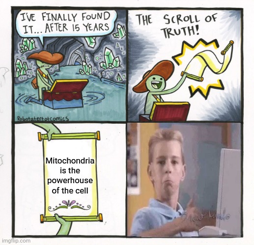 Wait, so it's mitochondria? Always has been. | Mitochondria is the powerhouse of the cell | image tagged in memes,the scroll of truth,mitochondria,biology,school memes | made w/ Imgflip meme maker