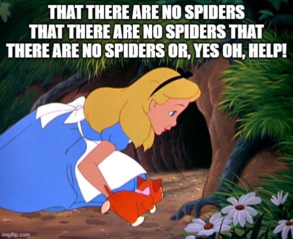 Alice Looking Down the Rabbit Hole | THAT THERE ARE NO SPIDERS THAT THERE ARE NO SPIDERS THAT THERE ARE NO SPIDERS OR, YES OH, HELP! | image tagged in alice looking down the rabbit hole | made w/ Imgflip meme maker