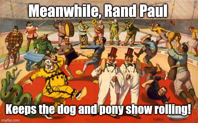 circus | Meanwhile, Rand Paul Keeps the dog and pony show rolling! | image tagged in circus | made w/ Imgflip meme maker