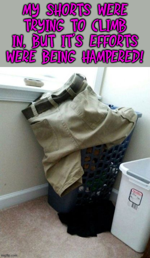 MY SHORTS WERE TRYING TO CLIMB IN, BUT IT'S EFFORTS WERE BEING HAMPERED! | image tagged in eyeroll | made w/ Imgflip meme maker