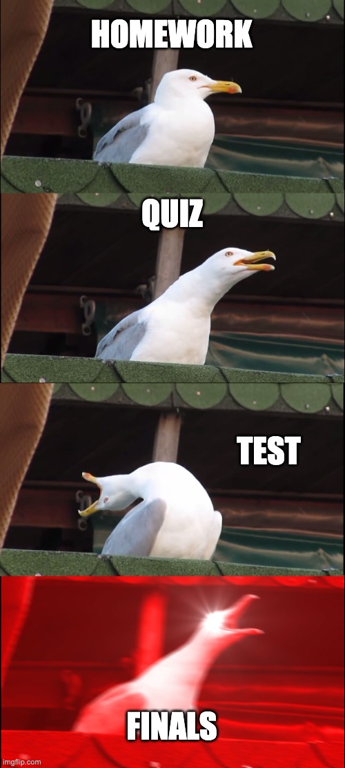 Inhaling Seagull | HOMEWORK; QUIZ; TEST; FINALS | image tagged in memes,inhaling seagull | made w/ Imgflip meme maker