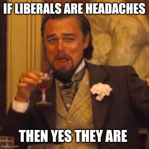 Laughing Leo Meme | IF LIBERALS ARE HEADACHES THEN YES THEY ARE | image tagged in memes,laughing leo | made w/ Imgflip meme maker