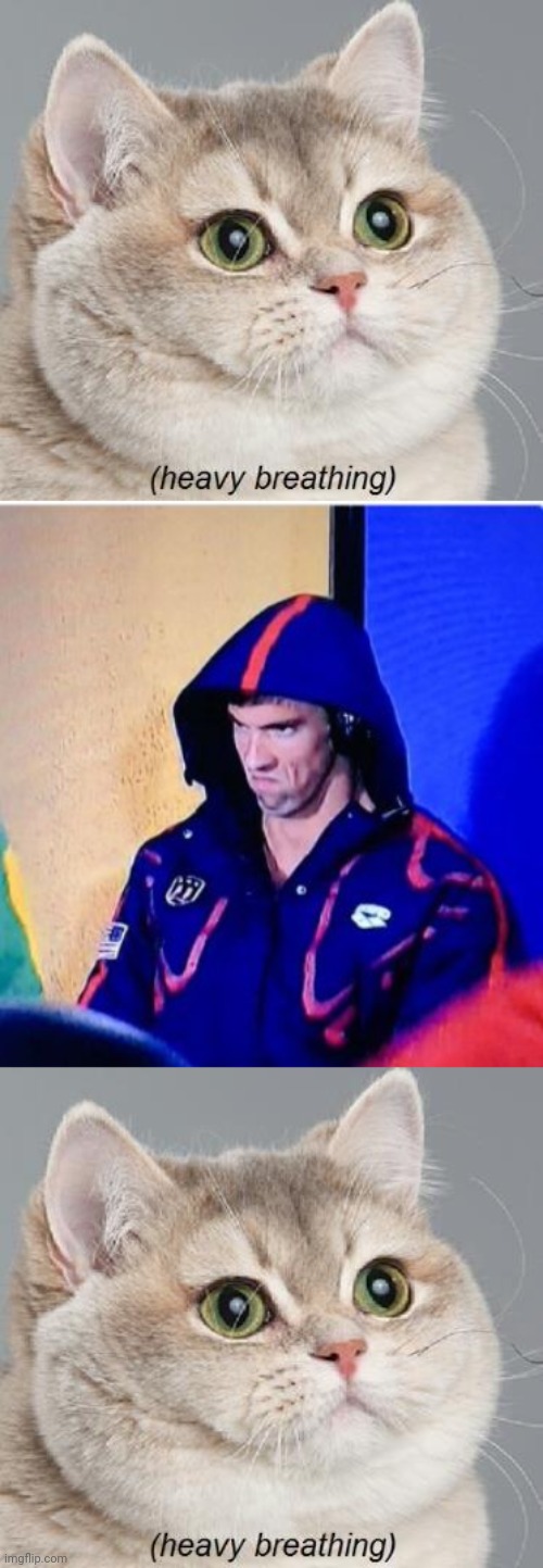 image tagged in memes,heavy breathing cat,michael phelps death stare | made w/ Imgflip meme maker