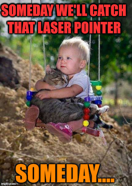 SOMEDAY WE'LL CATCH; THAT LASER POINTER | image tagged in cats | made w/ Imgflip meme maker