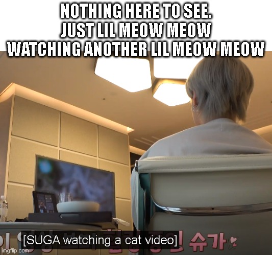 BTS meme | NOTHING HERE TO SEE. JUST LIL MEOW MEOW WATCHING ANOTHER LIL MEOW MEOW | image tagged in memes | made w/ Imgflip meme maker