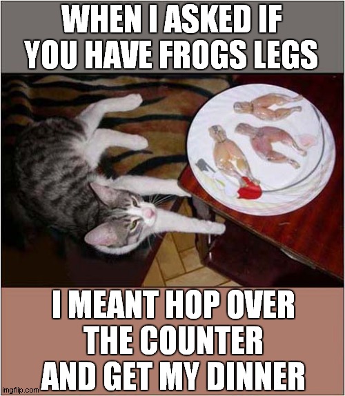 Jump To It ! | WHEN I ASKED IF YOU HAVE FROGS LEGS; I MEANT HOP OVER
THE COUNTER AND GET MY DINNER | image tagged in cats,frogs legs,dinner | made w/ Imgflip meme maker