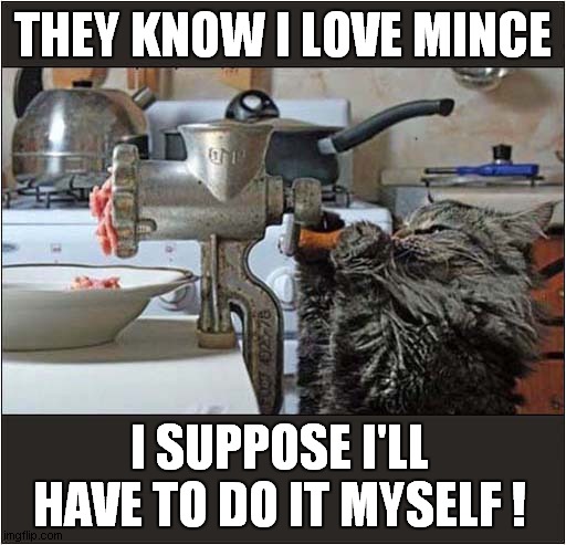 Cats DIY Dinner ! | THEY KNOW I LOVE MINCE; I SUPPOSE I'LL HAVE TO DO IT MYSELF ! | image tagged in cats,diy,mincer | made w/ Imgflip meme maker