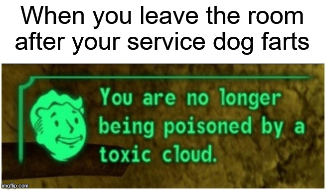 When you leave the room after your service dog farts | image tagged in fallout,service dog,fart | made w/ Imgflip meme maker