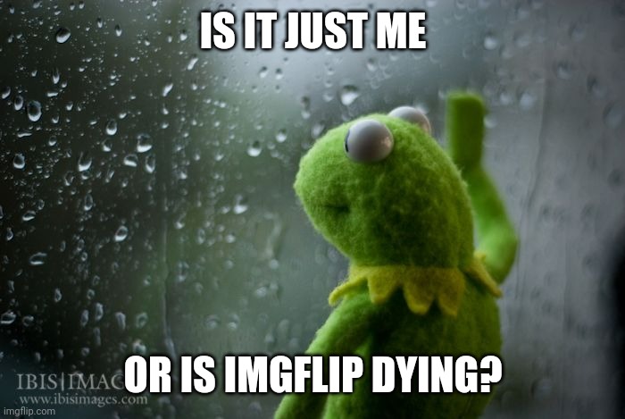 somethings been happened | IS IT JUST ME; OR IS IMGFLIP DYING? | image tagged in kermit window | made w/ Imgflip meme maker