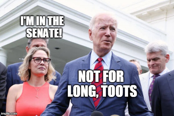 I'm in the senate | I'M IN THE                                           
 SENATE! NOT FOR
           LONG, TOOTS | made w/ Imgflip meme maker
