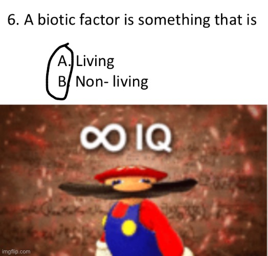Im a genius | image tagged in infinite iq | made w/ Imgflip meme maker