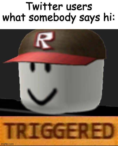 Bruh they have issues |  Twitter users what somebody says hi: | image tagged in roblox triggered | made w/ Imgflip meme maker