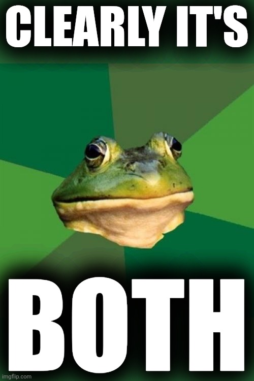 Foul Bachelor Frog Meme | CLEARLY IT'S BOTH | image tagged in memes,foul bachelor frog | made w/ Imgflip meme maker